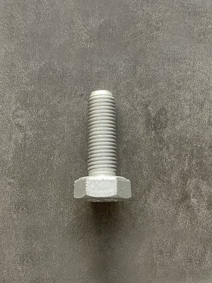 Болт М10х30х1,25 1/13069/21