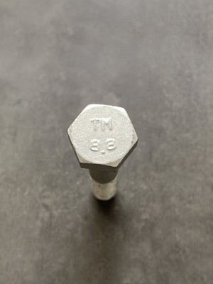 Болт М10х55х1,25 1/58887/21