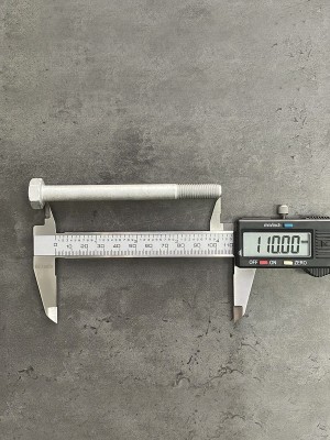 Болт М10х110х1,25 1/59720/21